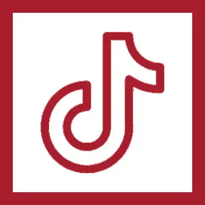 USTLeather Tiktok Link